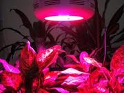 LED—90W освещение для растений 