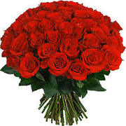 Розы цветы оптом, свежесрезанные розы, из Эквадора