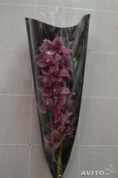 Ветка орхидеи цимбидиум с доставкой в Москве